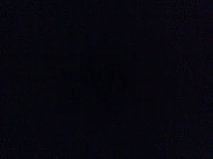 Meet your Posher, Laila